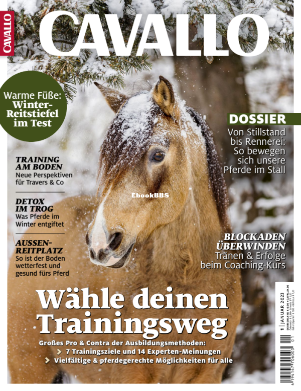 Cavallo_1.23 - 1.png