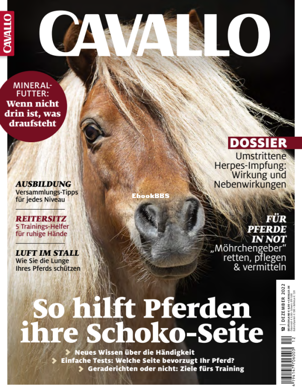 Cavallo_12.22 - 1.png