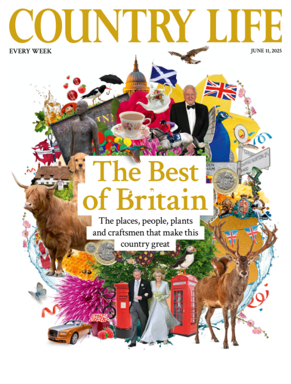 Country_Life_UK_-_June_11_2025 - 1.png