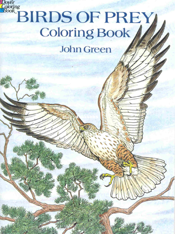 Birds-of-Prey-Coloring-Book-Coloring-Books - 1.png