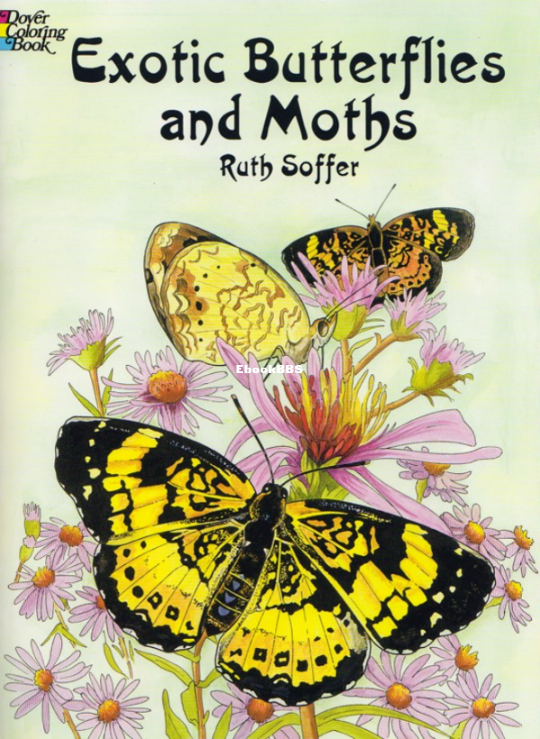 Exotic-Butterflies-and-Moths-Dover-Coloring-Book-2002 - 1.png