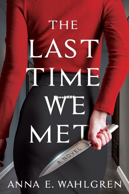 The Last Time We Met.jpg