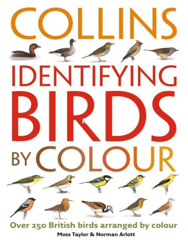 Identifying-Birds-by-Colour-PDFDrive - 1.png