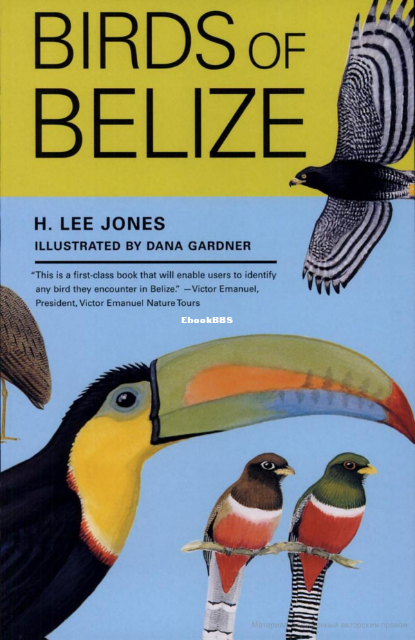 birds-of-belize - 1.png
