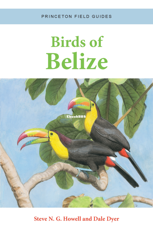 Birds_of_Belize_-_Steve_N_G_Howell - 1.png