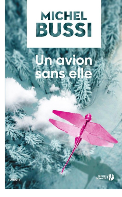 Un avion sans elle (Terres de France) (French Edition) (BUSSI Michel) (Z-Library).png