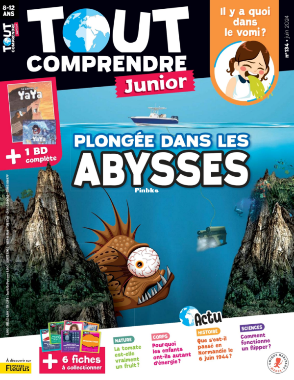 Tout_Comprendre_Junior_2024_06 - 1.png