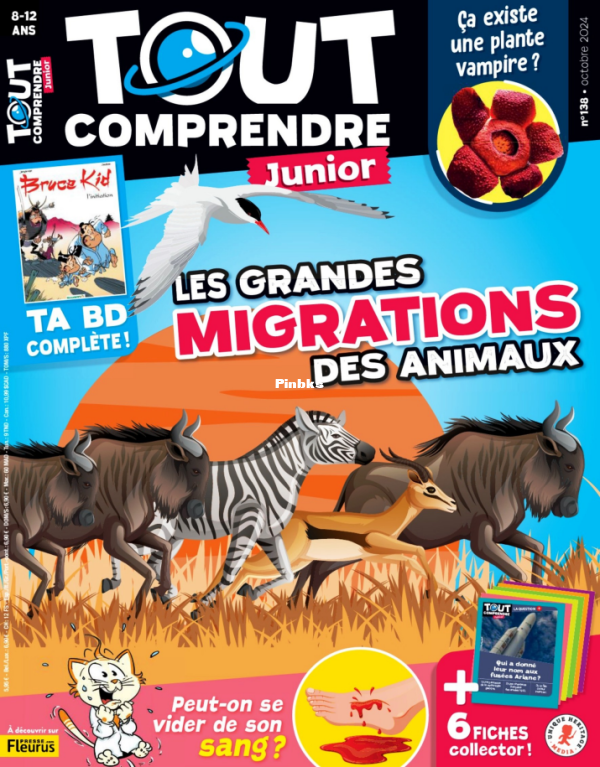Tout_Comprendre_Junior_2024_10 - 1.png