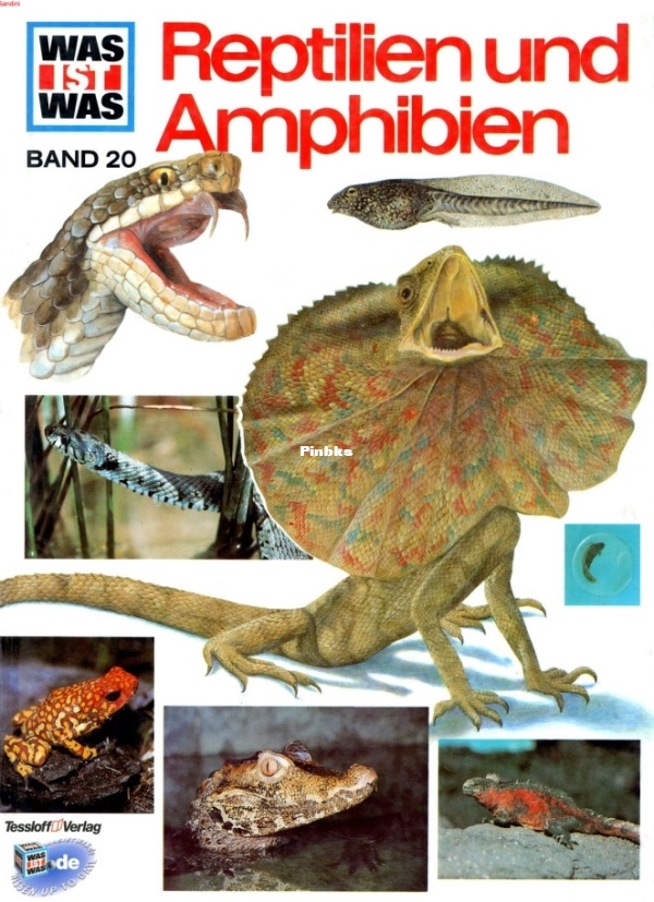 20.Was_Ist_Was_-_020_-_Reptilien__Amphibien.jpg