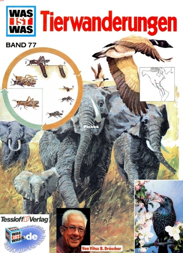 77.was-ist-was-tierwanderungen_compress.jpg
