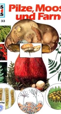 Pilze, Farne und Moose - Was Ist Was 033 - Andreas Zeugner - German