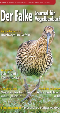 Der Falke – 08.2023 - German