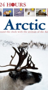 Arctitc - DK 24 Hours - English