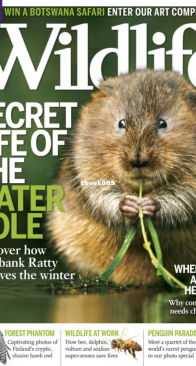 BBC Wildlife 2012 12 - English