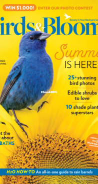 Birds and Blooms - 08-09.2024 - English