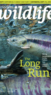 Canadian Wildlife 09-10. 2024 - English