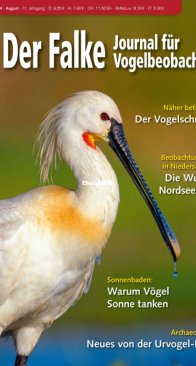 Der Falke – 08.2024 - German