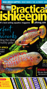 Practical Fishkeeping Magazine - 2019-05 - English