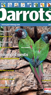 Parrots - Issue 330 - 07.2025 - English