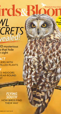 Birds and Blooms - 10-11.2019 - English