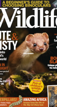 BBC Wildlife 2016 09 - English