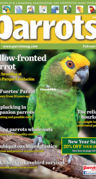 Parrots - Issue 325 -  02.2025 - English