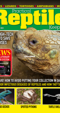 Practical Reptile Keeping 11.2023 - English