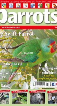 Parrots - Issue 294 - 07.2022 - English