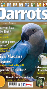Parrots - Issue 295 - 08.2022 - English