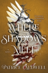 Where Shadows Meet - Where Shadows Meet 1 - Patrice Caldwell - English