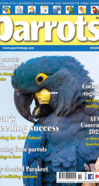 Parrots - Issue 297 - 10.2022 - English