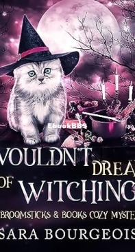Wouldn't Dream of Witching   - [Broomsticks and Books 08] - Sara Bourgeois 2023 Eng;ish