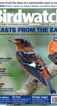 Birdwatch UK - Issue 352 - 10.2021 - English