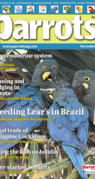Parrots - Issue 310 - 11.2023 - English