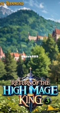 Return Of The High Mage King - Age of Heroes #3 - Shane Hammond - English
