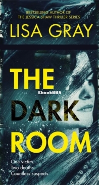 The Dark Room - Lisa Gray - English