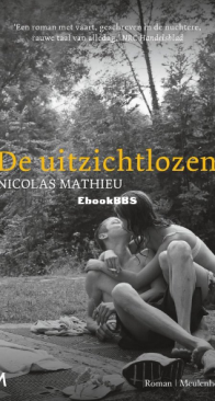De Uitzichtloze - Nicolas Mathieu - Dutch