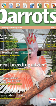 Parrots - Issue 326 -  03.2025 - English