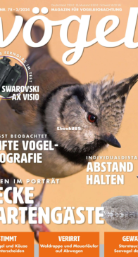 Vögel - Issue 78 – 2.2024 - German