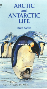 Arctic and Antarctic Life - Dover Coloring Book - English