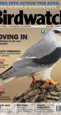 Birdwatch UK - Issue 357 - 04.2022 - English