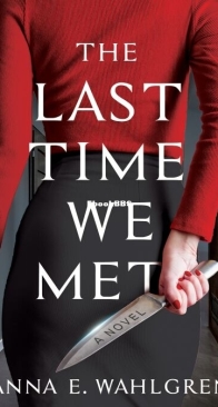 The Last Time We Met - Anna E. Wahlgren - English