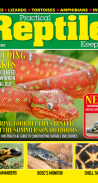 Practical Reptile Keeping 02.2025 - English