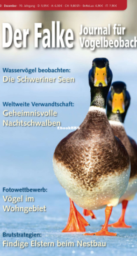 Der Falke – 12.2023 - German