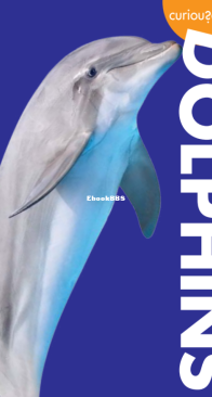Dolphins - Curious About - Annie Holdren - English