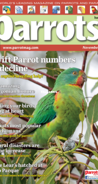 Parrots - Issue 322 -  11.2024 - English