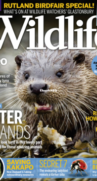 BBC Wildlife 2017 09 - English
