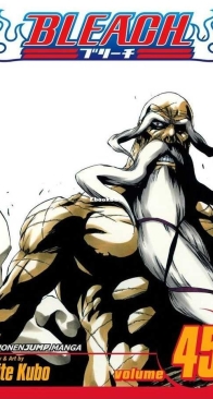 Bleach Colored 45 (of 74) - Viz 2012 - Tite Kubo - English