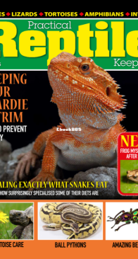 Practical Reptile Keeping 04.2025 - English