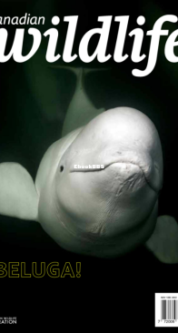 Canadian Wildlife 11-12. 2022 - English